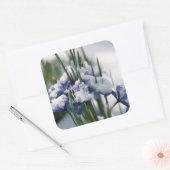 Close-up van Iris Vierkante Sticker (Envelop)