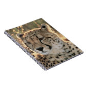 Close-up van jachtluipaarden notitieboek (Rechterzijde)
