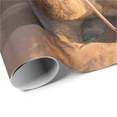 Close-up van kameel in de Omaan woestijn Cadeaupapier (Rol Hoek)