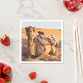 Close-up van kameel in de Omaan woestijn Servet (Insitu)