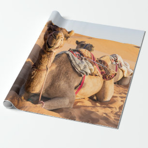 Close-up van kameel in Omaanse woestijn Cadeaupapier