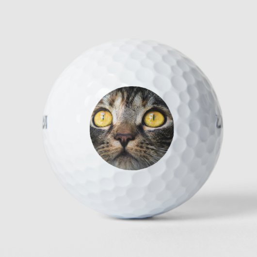 Close-up van kat met gele ogen golfballen (Voorkant)
