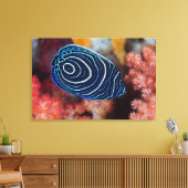 Close-up van keizersengelvis canvas afdruk (Insitu (Woonkamer))