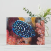 Close-up van keizersengelvis kaart (Staand voorkant)