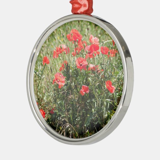 Close-up van klaprozen metalen ornament (Links)