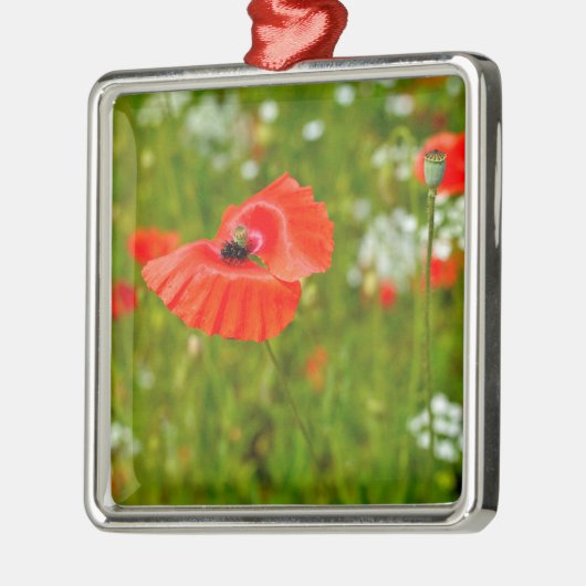 Close-up van klaprozen metalen ornament (Links)