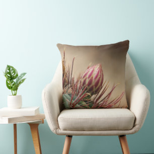 Close-up van knop op vatcactus kussen