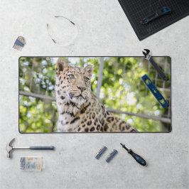 Close-up van Leopard Face Foto Bureaumat