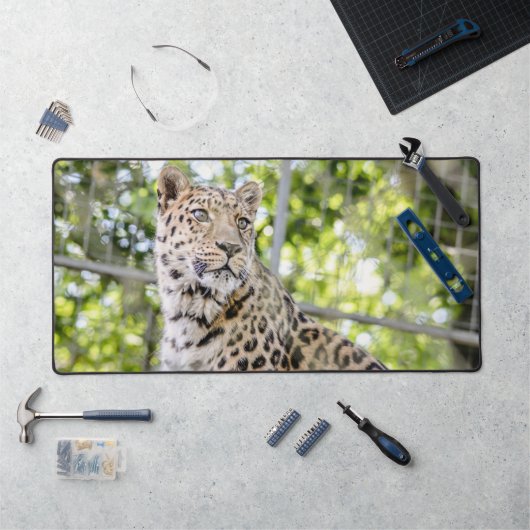 Close-up van Leopard Face Foto Bureaumat (Werkstation)