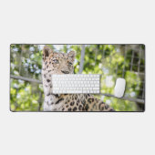 Close-up van Leopard Face Foto Bureaumat (Keyboard & Muis)