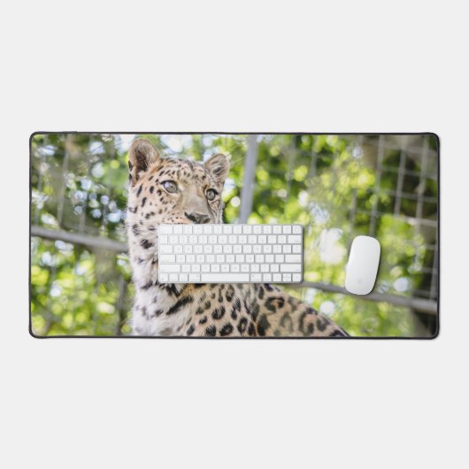 Close-up van Leopard Face Foto Bureaumat (Keyboard & Muis)