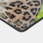 Close-up van Leopard Foto Bureaumat (Hoek)
