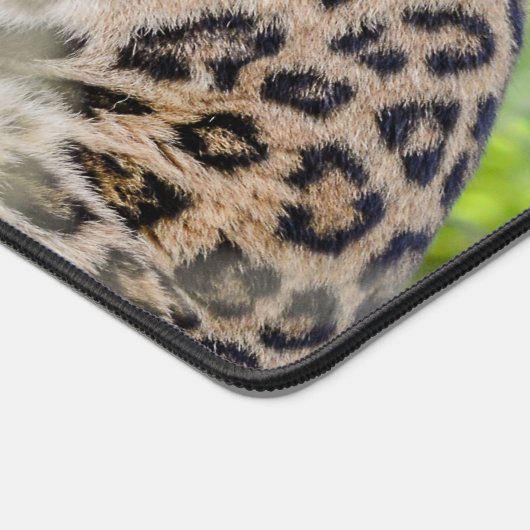Close-up van Leopard Foto Bureaumat (Hoek)