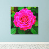 Close-up van levendige roze roos canvas afdruk (Insitu (Houten vloer))