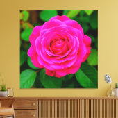 Close-up van levendige roze roos canvas afdruk (Insitu (Woonkamer))