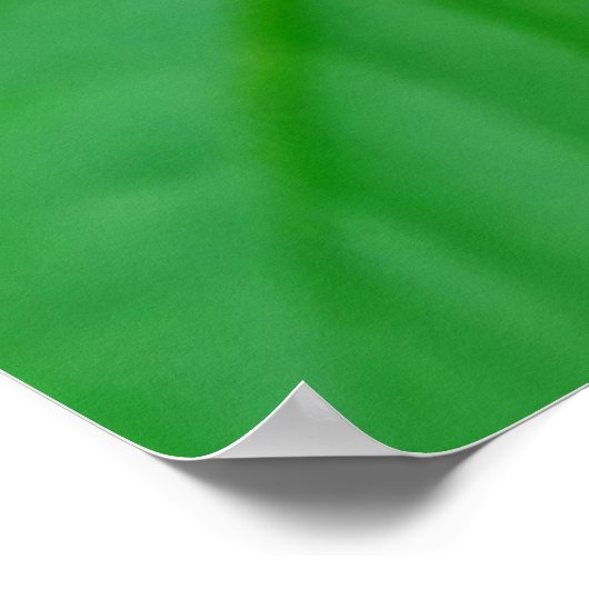 Close-up van levendige roze roos poster (Hoek)