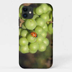 Close-up van lieveheersbeestje op groene Pinot Noi Case-Mate iPhone Case