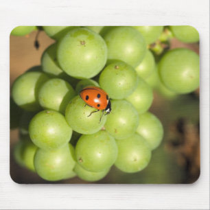 Close-up van lieveheersbeestje op groene Pinot Noi Muismat