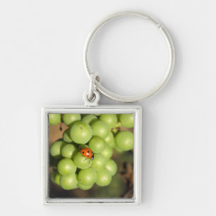 Close-up van lieveheersbeestje op groene Pinot Noi Sleutelhanger