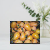 Close-up van Loquat-fruit Briefkaart (Staand voorkant)