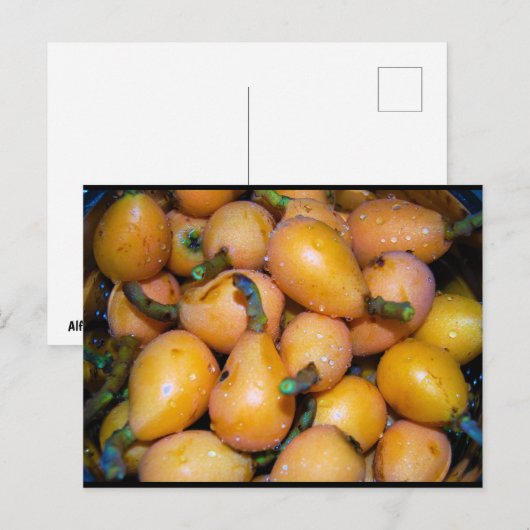Close-up van Loquat-fruit Briefkaart (Voorkant / Achterkant)