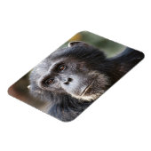 Close-up van mannelijke chimpansee magneet (Linkerzijde)