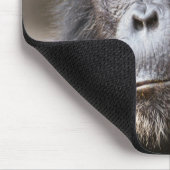 Close-up van mannelijke chimpansee muismat (Hoek)