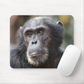 Close-up van mannelijke chimpansee muismat (Met muis)