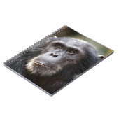Close-up van mannelijke chimpansee notitieboek (Linkerzijde)