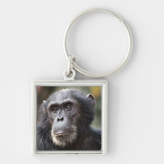 Close-up van mannelijke chimpansee sleutelhanger (Voorkant)