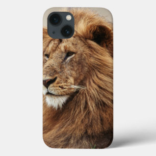 Close-up van mannelijke leeuw Case-Mate iPhone case