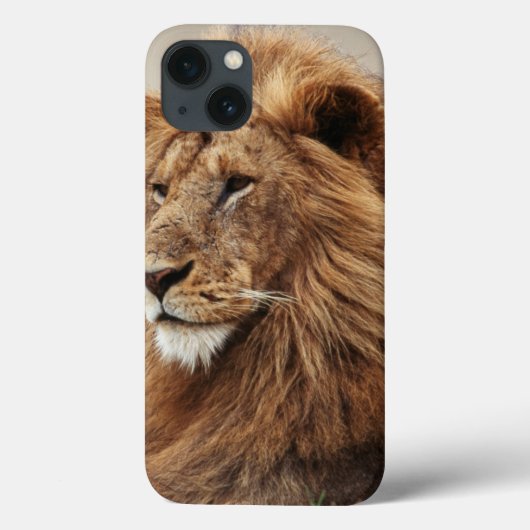 Close-up van mannelijke leeuw Case-Mate iPhone case (Achterkant)