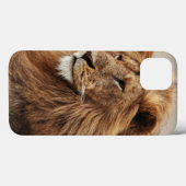 Close-up van mannelijke leeuw Case-Mate iPhone case (Achterkant (horizontaal))