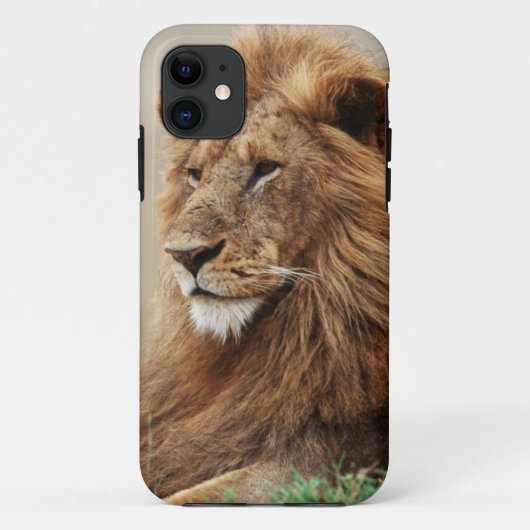 Close-up van mannelijke leeuw Case-Mate iPhone case (Achterkant)