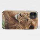 Close-up van mannelijke leeuw Case-Mate iPhone case (Achterkant (horizontaal))
