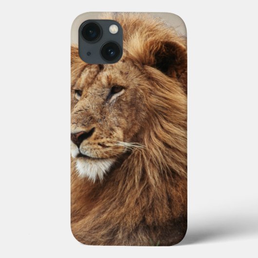 Close-up van mannelijke leeuw Case-Mate iPhone case (Achterkant)