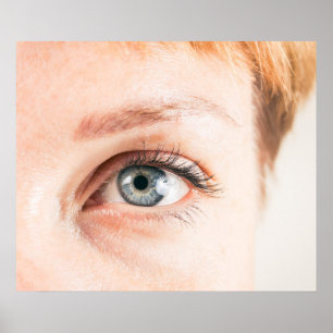 Close-up van menselijk oog poster