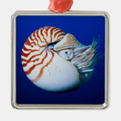 Close-up van Nautilus Metalen Ornament (Voorkant)