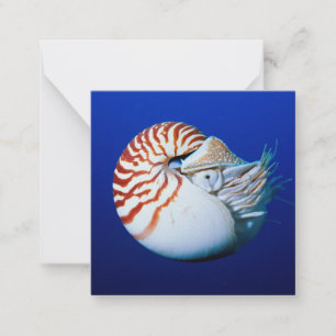 Close-up van Nautilus Notitiekaartje