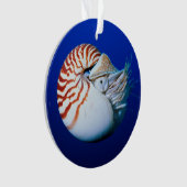 Close-up van Nautilus Ornament (voorkant)