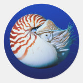 Close-up van Nautilus Ronde Sticker (Voorkant)