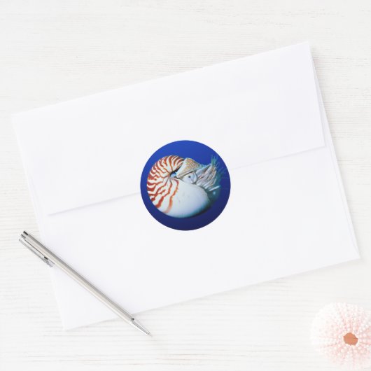 Close-up van Nautilus Ronde Sticker (Envelop)