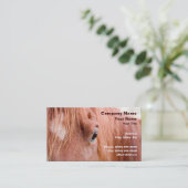 Close-up van Paard Visitekaartje (Staand voorkant)