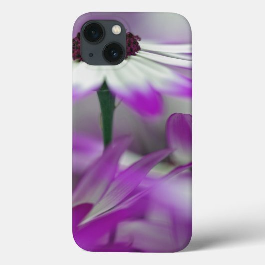 Close-up van paarse bloem, Keukenhof tuin, Case-Mate iPhone Case (Achterkant)