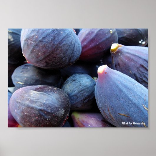 Close-up van paarse vijgenfruit poster (Voorkant)