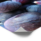 Close-up van paarse vijgenfruit poster (Hoek)