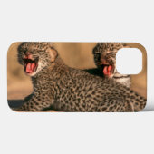 Close-up van pasgeboren luipaard (Panthera Pardus) Case-Mate iPhone Case (Achterkant (horizontaal))