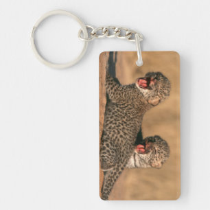 Close-up van pasgeboren luipaard (Panthera Pardus) Sleutelhanger