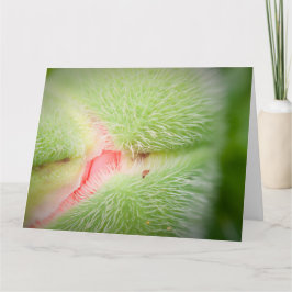 Close-up van Poppy Kaart