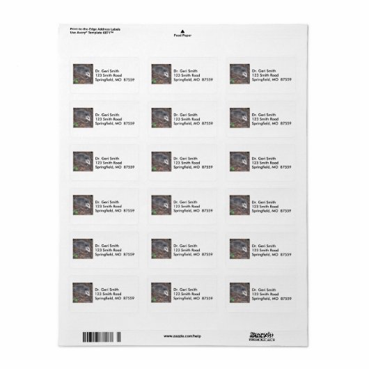 Close-up van  Possum Etiket (Full Sheet)